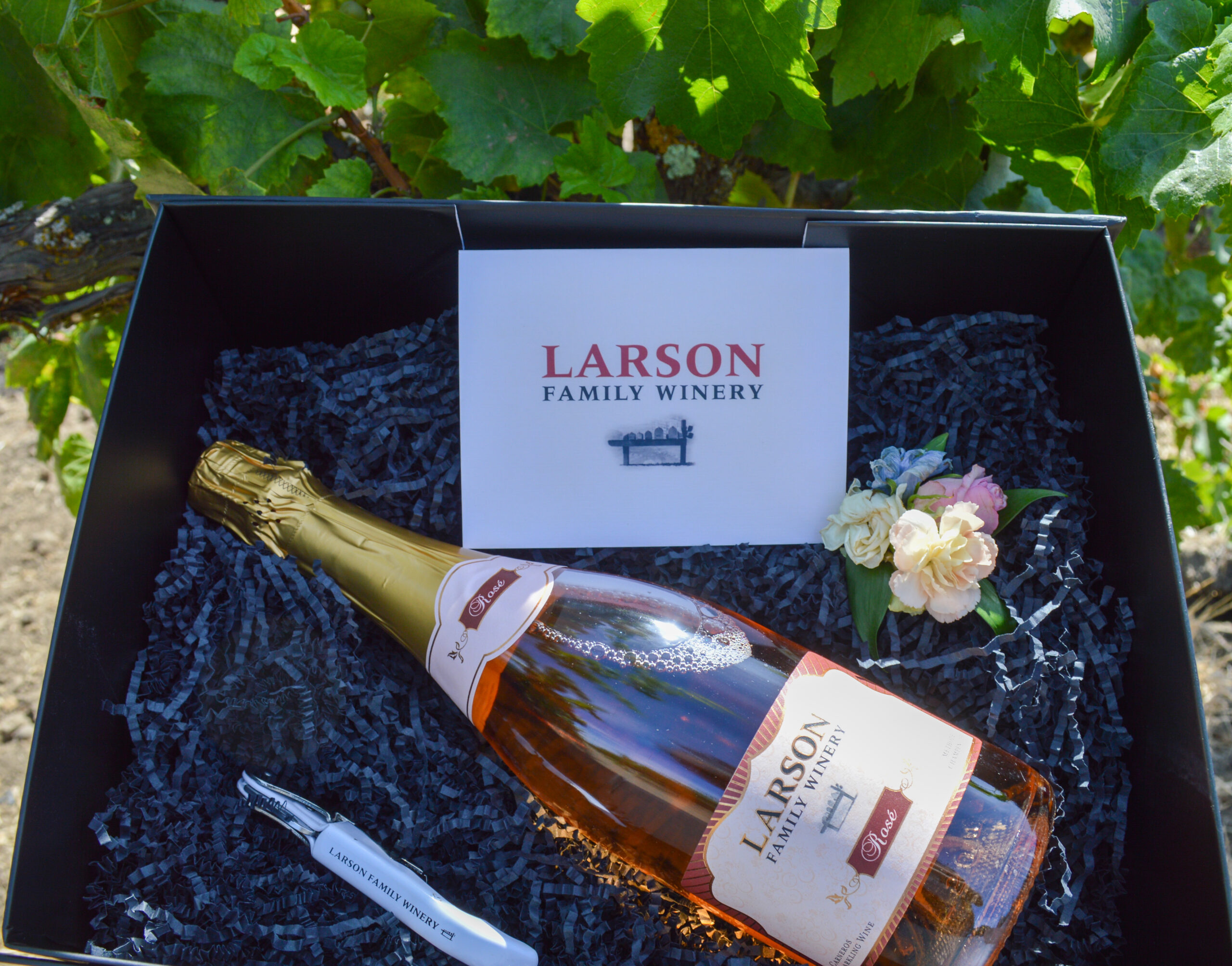 Larson Family Winery sparkling rose gift box in the vineyard